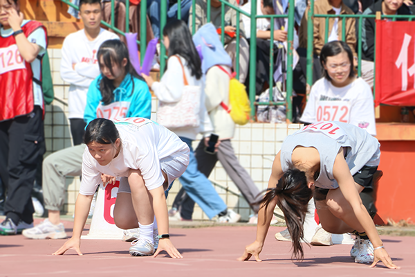 d81b80df5da84158a04425a496c675bf.png