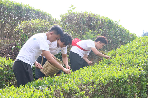 5d80920f5a3d460ba9f1e23d4400fcdd.png 图片1.png