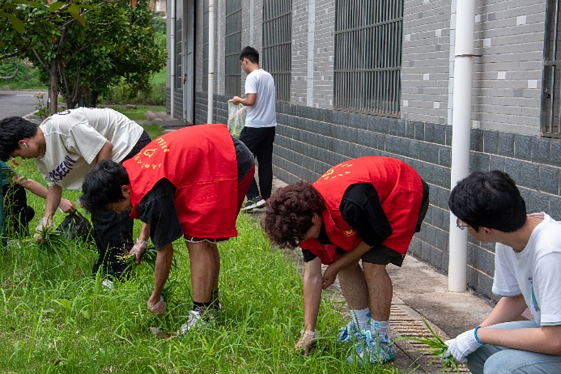 43f30fdd9f154d27986eee88d3a77509.png 图片 3.png