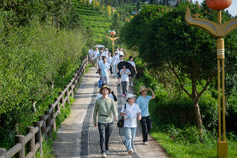 3649d73ccc9841698048d86a09970875.png 图片37.png