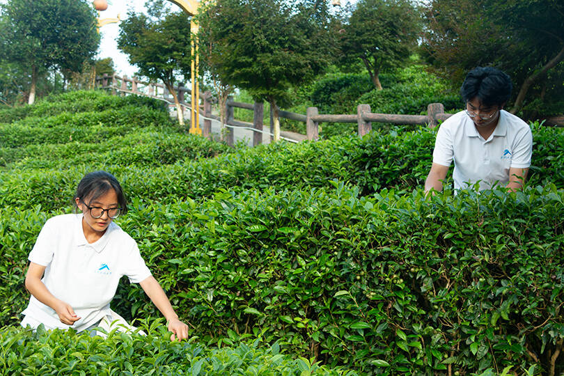 845b984c81bd4324a540d03d4289c7fa.png 图片38.png